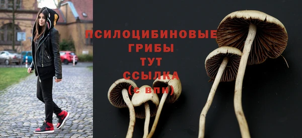 бутират Армянск