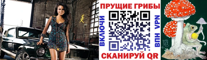 KRAKEN ТОР  Усмань  Галлюциногенные грибы Psilocybine cubensis  где продают  